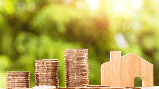 Introduce yourself with the world of Finance