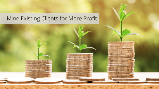 Mine Existing Clients for More Profit- Learn 5 Step Roadmap