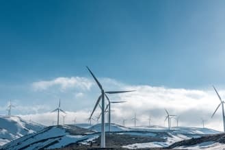 CAPM Insights: Risk and Return in Energy Commodities