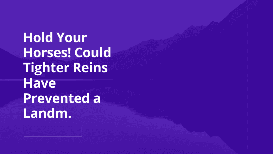 Hold Your Horses! Could Tighter Reins Have Prevented Fraud?